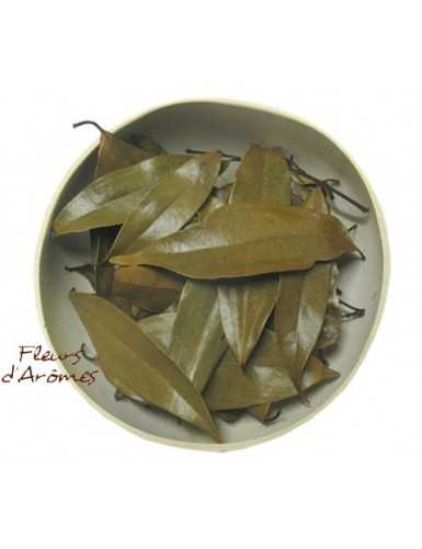Cannelle feuille entière
